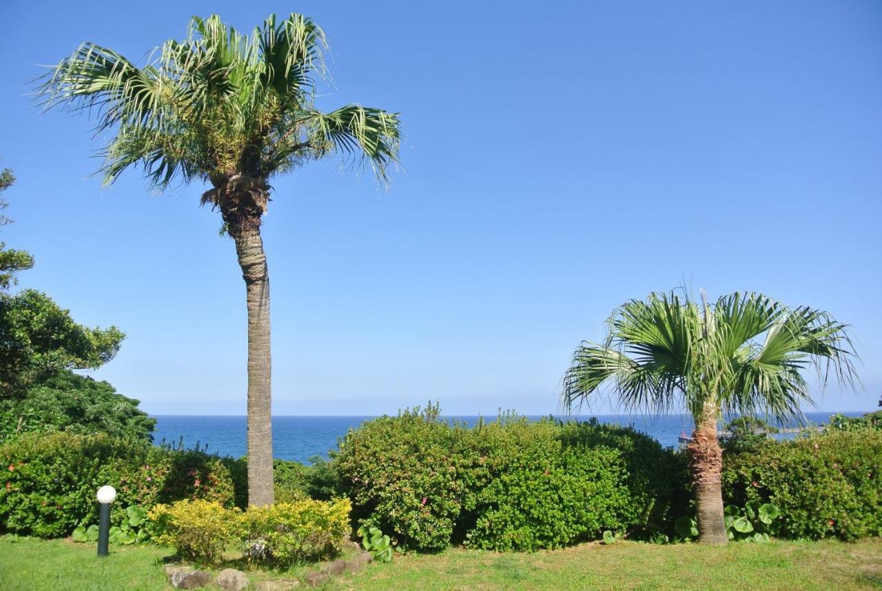 Yakushima Green Hotel Exteriör bild